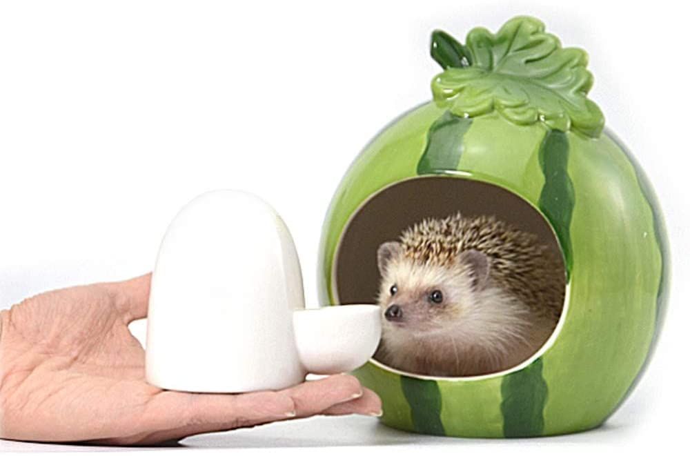 Drinking Water Feeder Ceramics Slient Bottle Waterer Automatic Small Pets for Hamster Hedgehog Small Guinea Pig, White