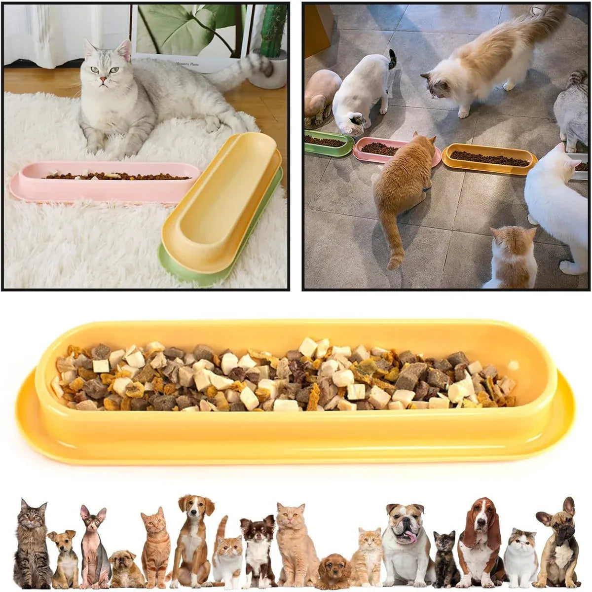Extended Cat Bowl Pet Bowl Feeding Basin Drinking Water Cat Bowl for Cats - Green