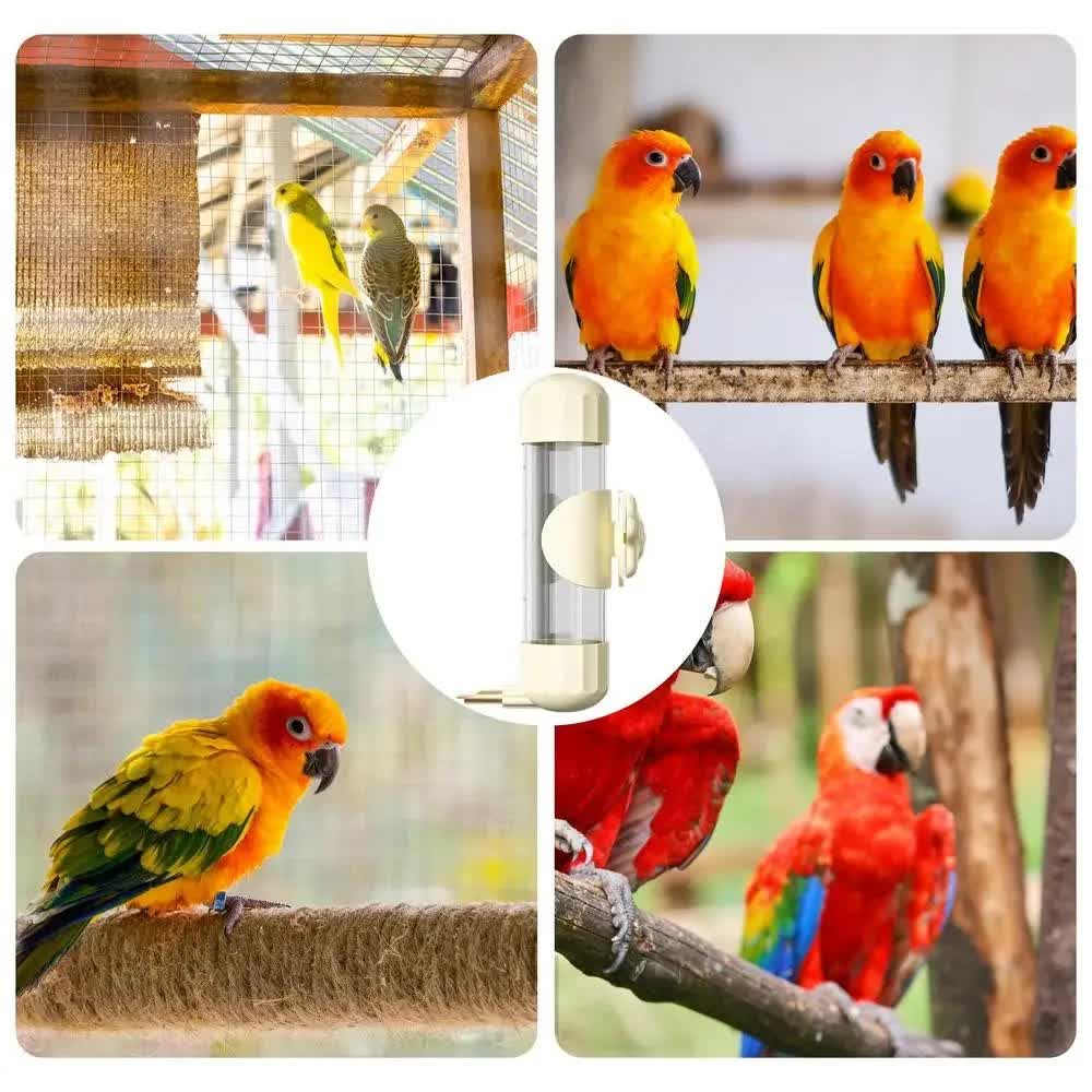 Green Automatic Bird Water Feeder Bottle (200ml) - Leakproof No-Drip Dispenser for Parrots