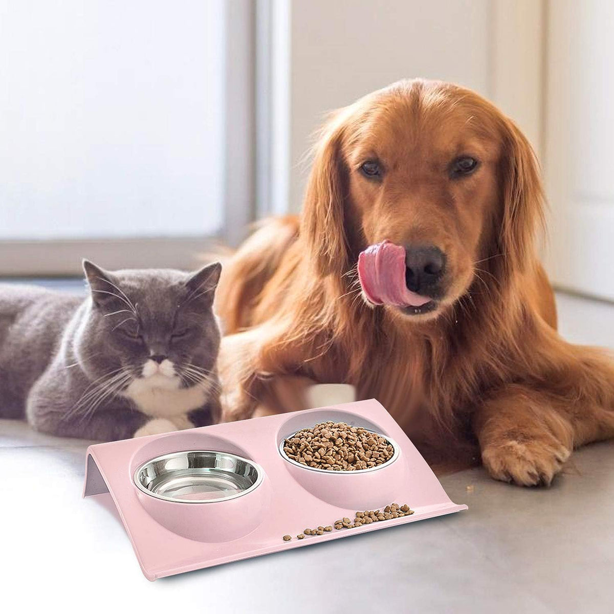 DOG SUPPLIES