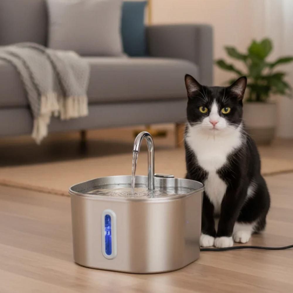 CAT SUPPLIES