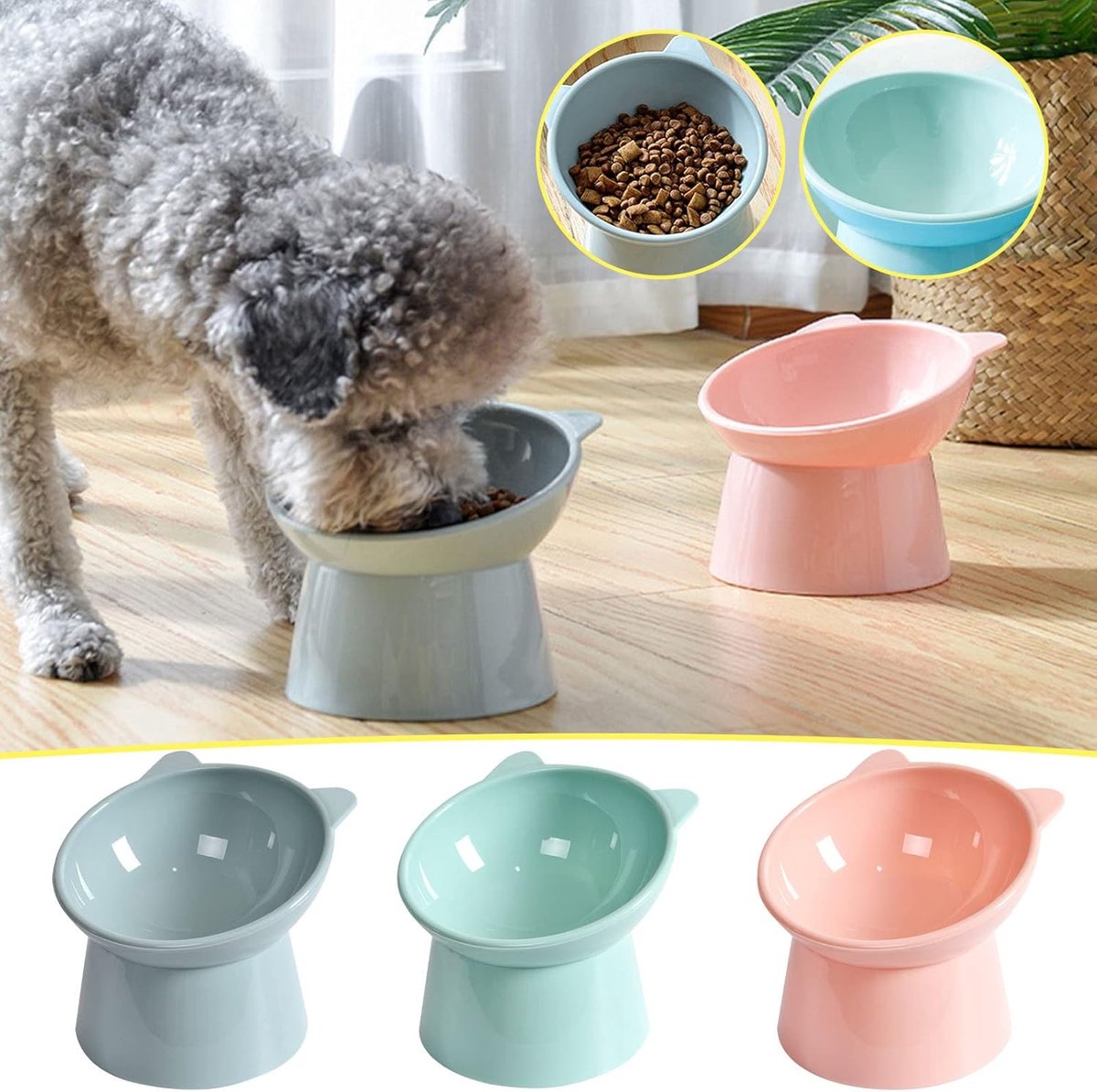 Cat bowl - Feeders - Tilting bowl - Anti-vomiting - Angled design - Blue - Perfect for cats - Indoor use - Pet accessories - Green