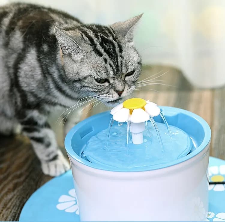1.6L Pet Water Fountain for Cats and Dogs, Round, 15.5 x 15.5 x 10.5cm, Blue