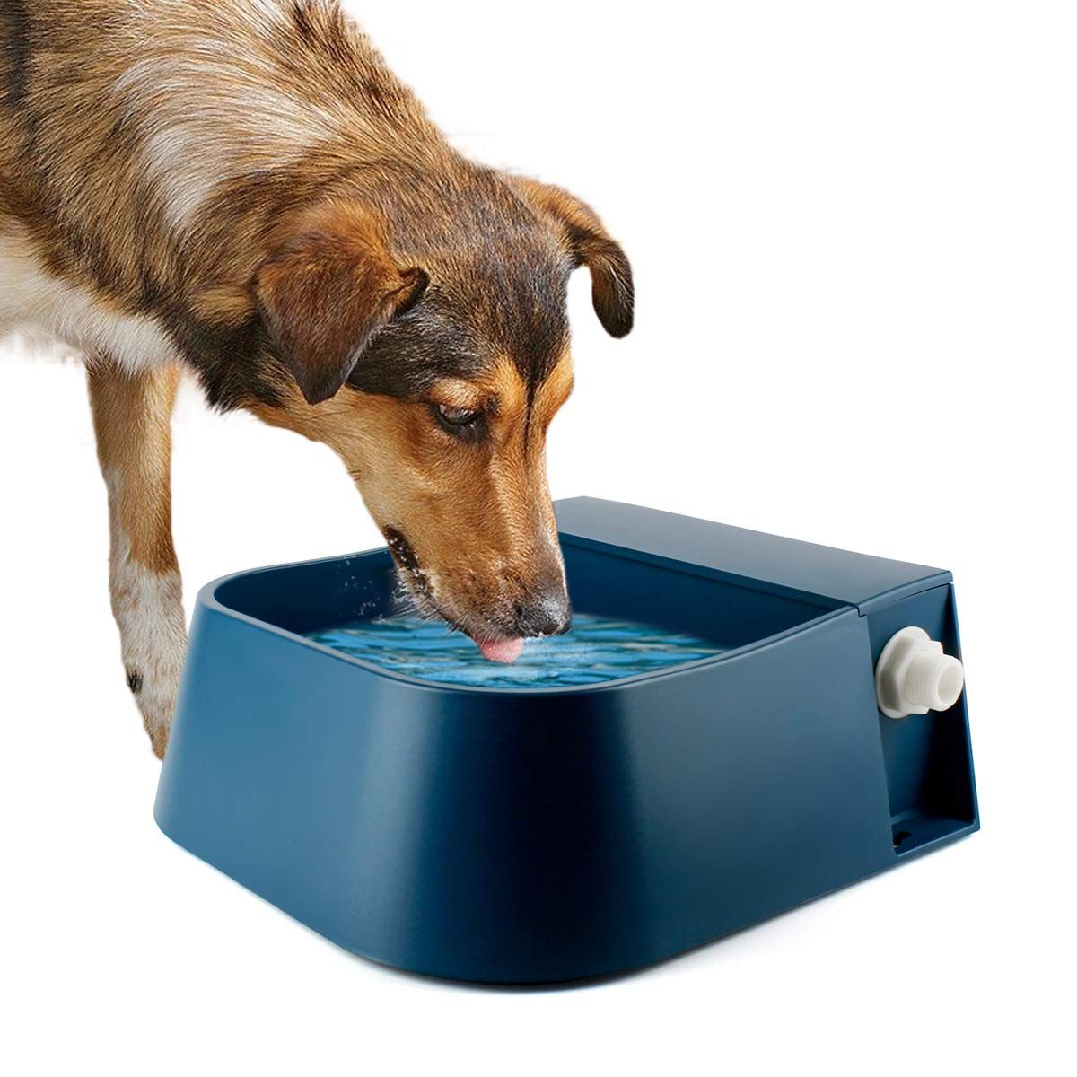 Dog Automatic Water Bowl, Outdoor Dog Water Bowl Auto-Fill Waterer Float Valve Bowl for Dog Goat Cat, Blue 2L