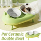 Cat Bowl Ceramic Double Bowl Non Slip Food Safe Durable for Dry Wet Food Water
