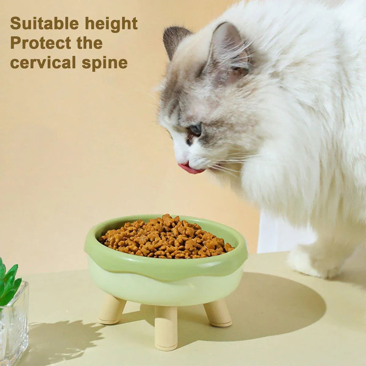 Cat Food Water Bowl Non Slip Raised Pet Feeding Dish Elevated Feeder Cats - Pink