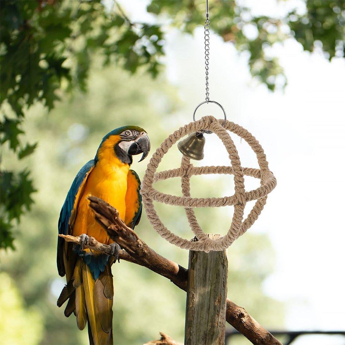 Interactive Parrot Toys Nibbling Balls Hoop Swing Bird Chew Play Activity