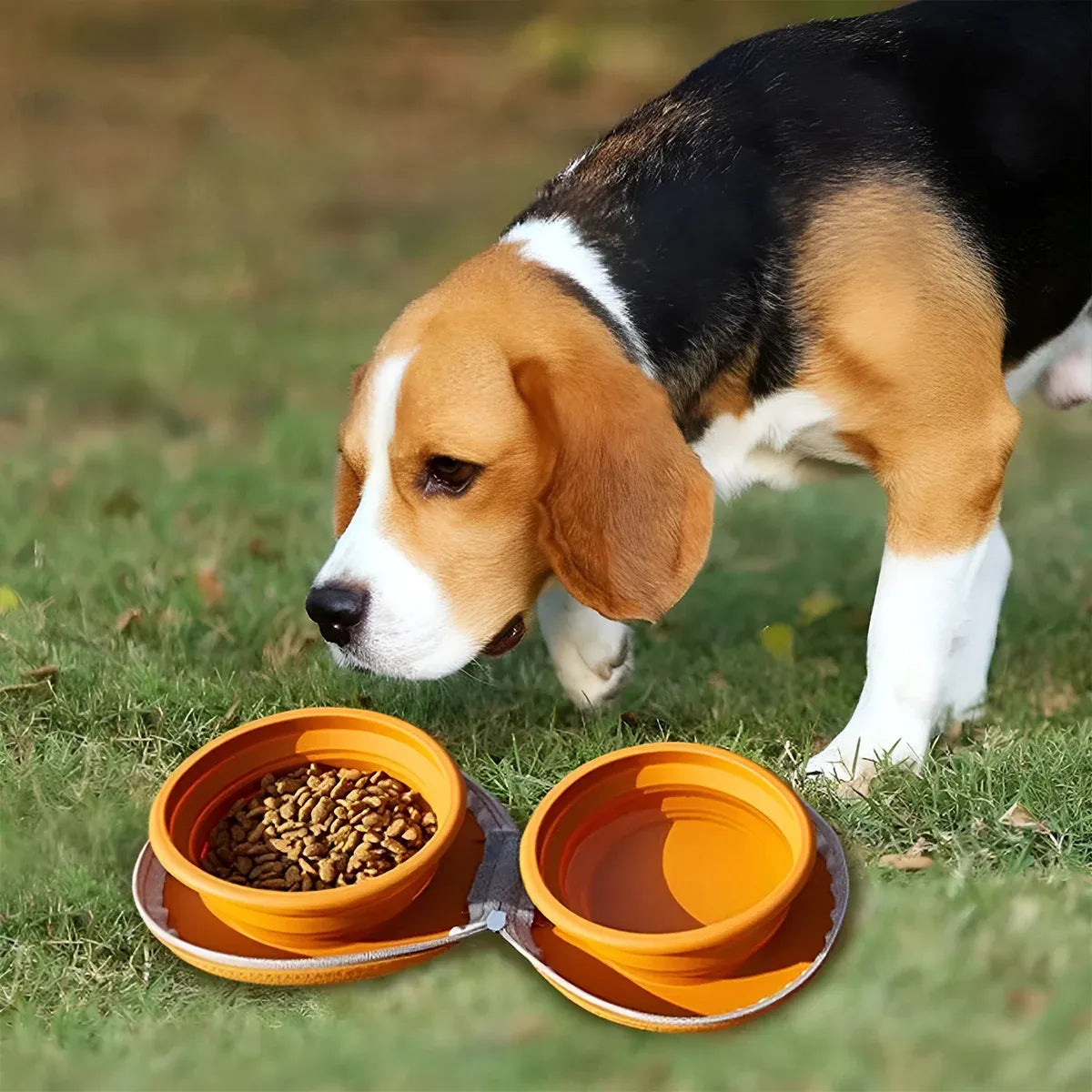 Pet Travel Feeding Bowl Set Portable Foldable Dog Cat Food Water Dish Outdoor - Beige