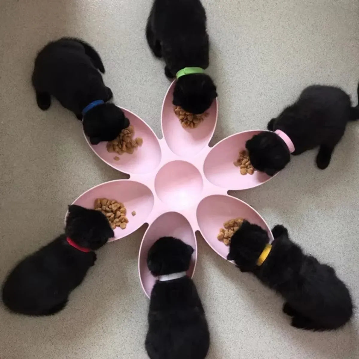 Multi Cat Feeding Bowl Petal Design Kitten Milk Bowl Puppy Dog Food Water Dish - Blue