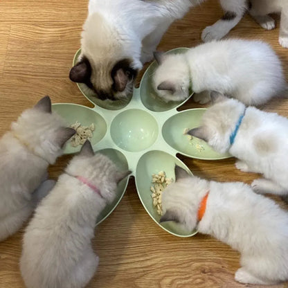 Multi Cat Feeding Bowl Petal Design Kitten Milk Bowl Puppy Dog Food Water Dish - Blue