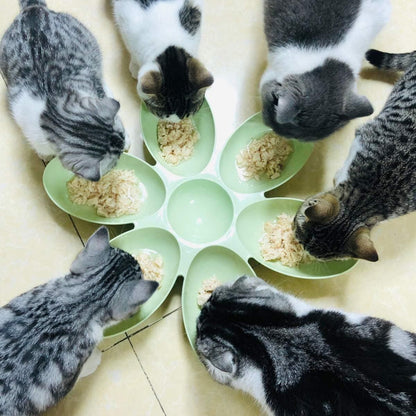 Multi Cat Feeding Bowl Petal Design Kitten Milk Bowl Puppy Dog Food Water Dish - Green