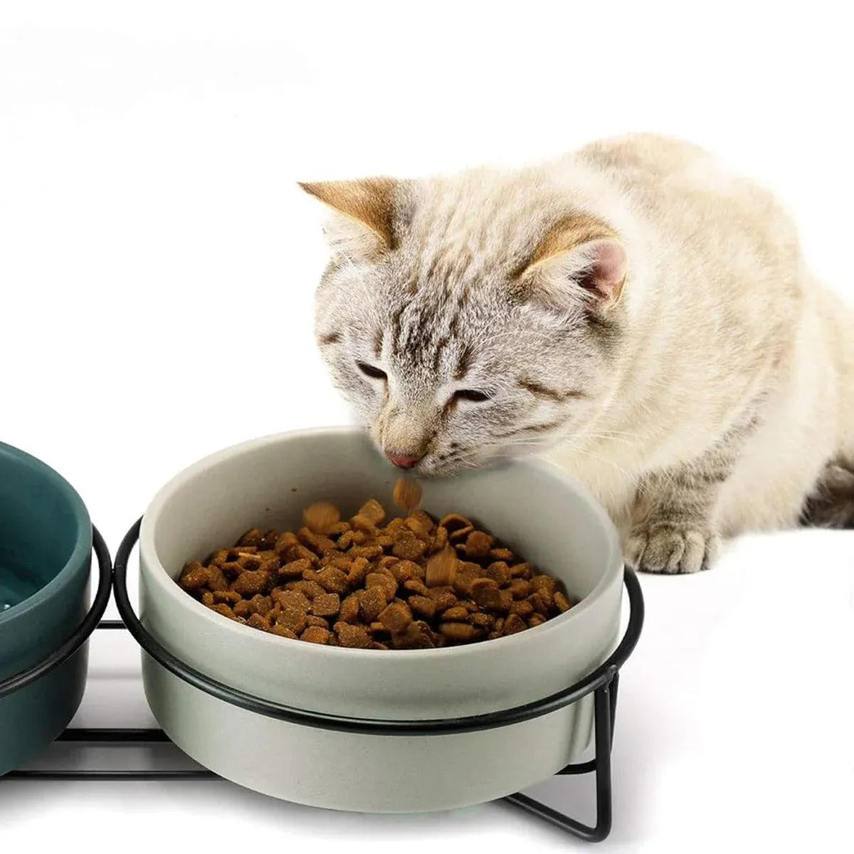 Ceramic Pet Bowl Cat Food Bowl Dog Bowl Drinking Bowl Pet Water Food Dish - Grey