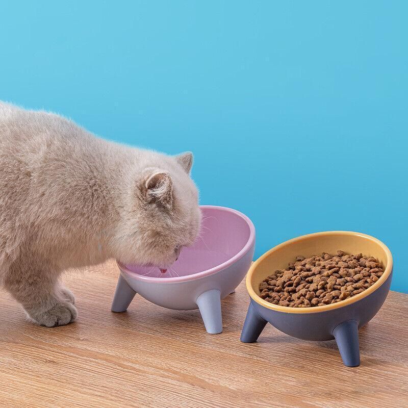 Raised Cat Bowl Pet Feeder Pet Bowl Elevated Dog Bowls 15° Tilted Pet Water Bowl - Camella Red