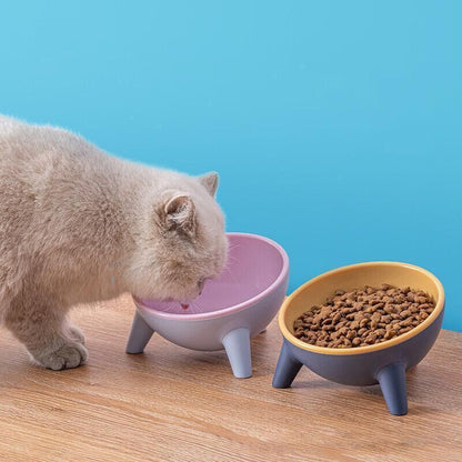 Raised Cat Bowl Pet Feeder Pet Bowl Elevated Dog Bowls 15° Tilted Pet Water Bowl - Camella Red