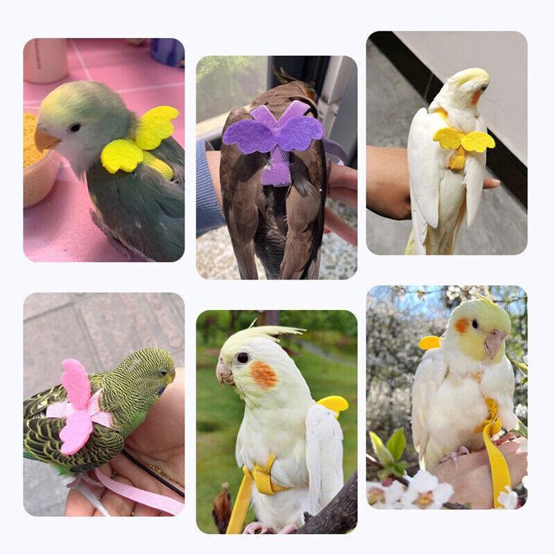 Parrot Bird Harness Leash Adjustable Flying Training Rope Cockatiel Conure Budgie - Blue