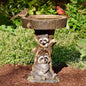 Raccoon Resin Bird Feeder with Natural Stump Design for Garden and Outdoor Decor, Ideal for Attracting Birds and Enhancing Yard Aesthetics