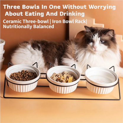 Triple Slanted Ceramic Pet Bowl Set with Elevated Iron Stand and Non Slip Base - 3 x 300ML Versatile Blue Cat Paw Print Pattern Dishes for Water & Food