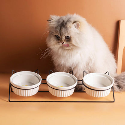 Triple Slanted Ceramic Pet Bowl Set with Elevated Iron Stand and Non Slip Base - 3 x 300ML Versatile Yellow Cat Paw Print Pattern Dishes for Water & Food